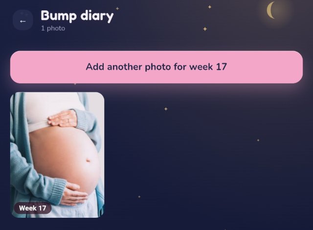 Bump diary with a week 17 bump photo
