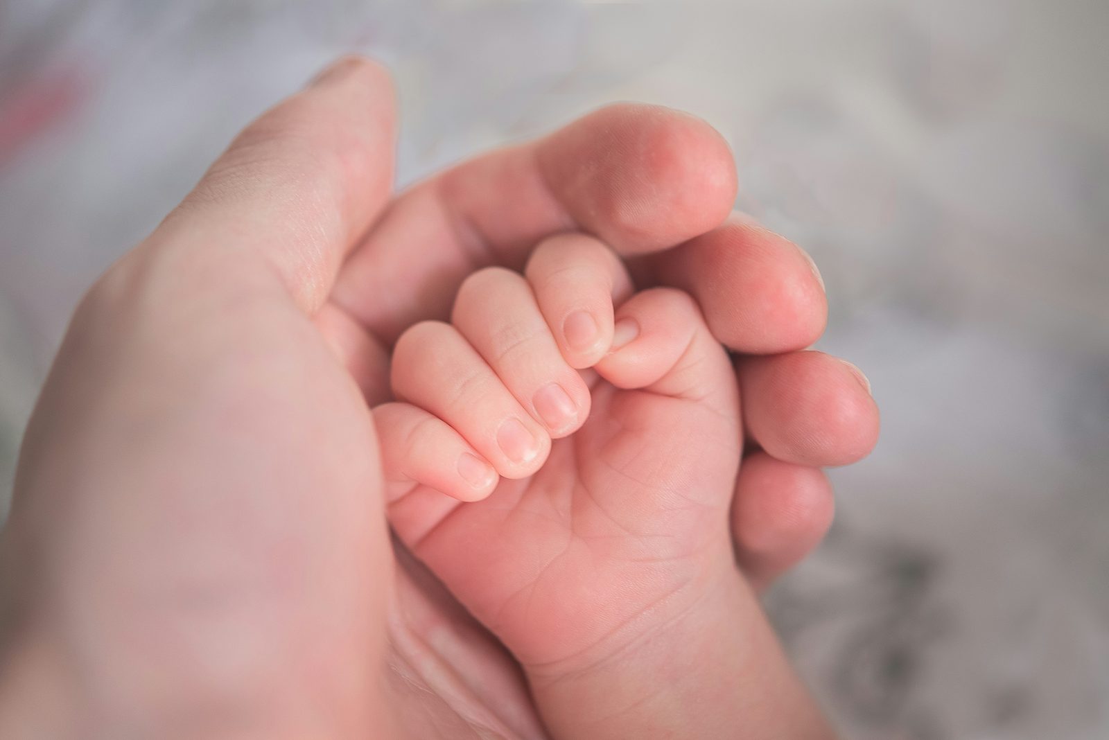 A parent's hand cradling a tiny newborn's hand